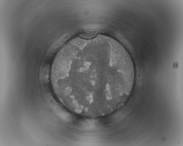 X0000111910065200908241036