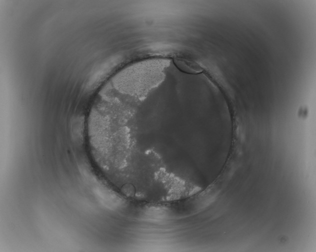 X0000111910066200908241036