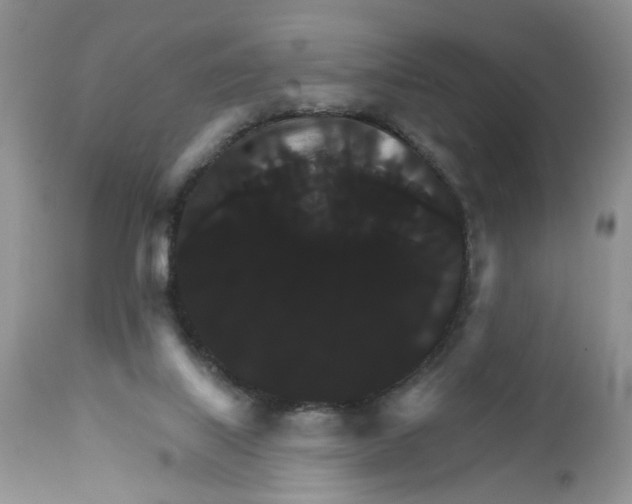 X0000111910067200908241036