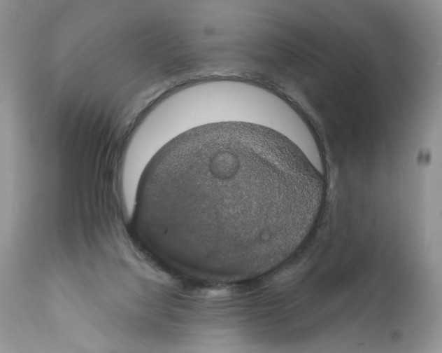 X0000111910068200908241036