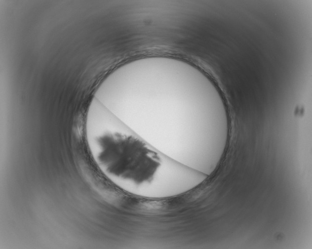 X0000111910069200908241036