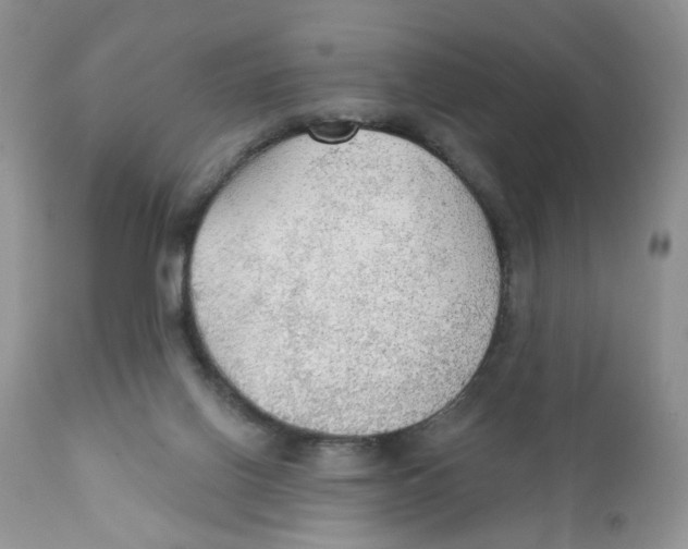 X0000111910070200908241036