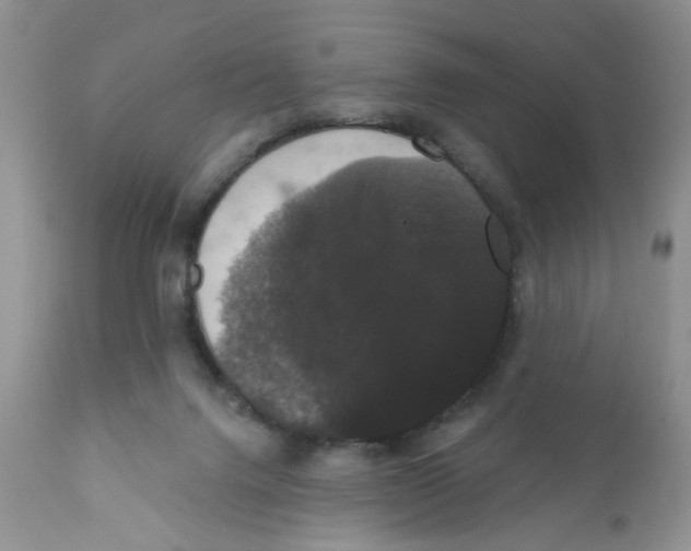 X0000111910072200908241036