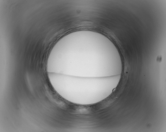 X0000111910073200908241036
