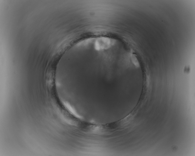 X0000111910074200908241036