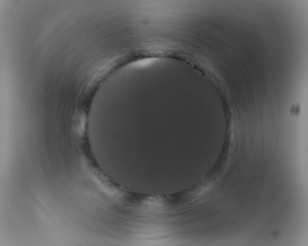 X0000111910076200908241036