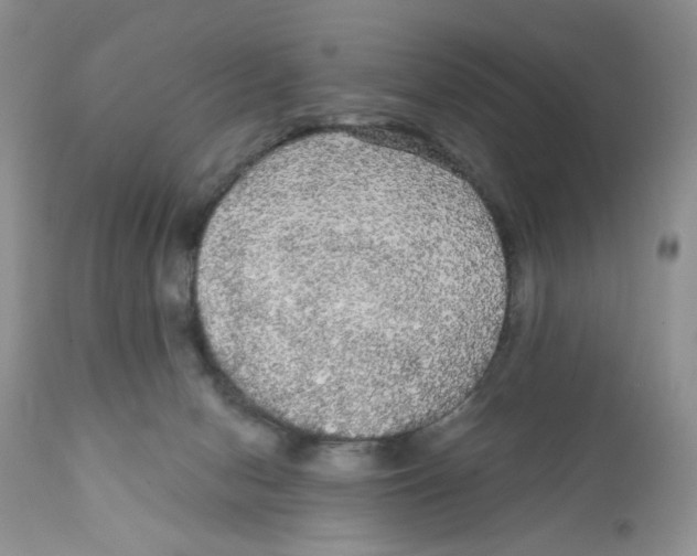 X0000111910078200908241036