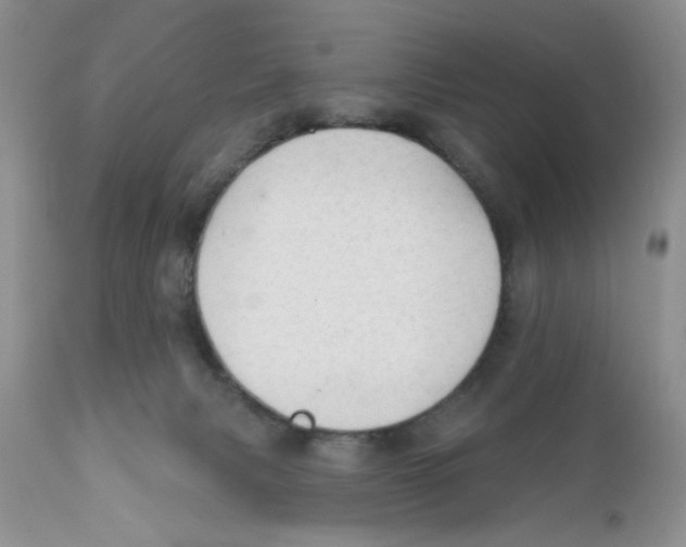 X0000111910079200908241037
