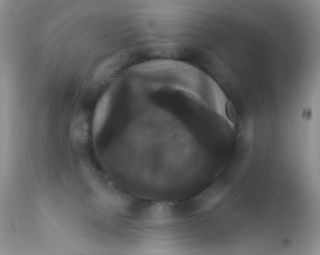 X0000111910080200908241037