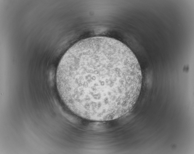 X0000111910082200908241037