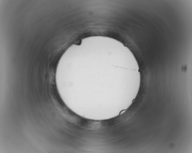 X0000111910083200908241037