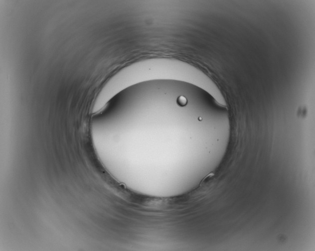 X0000111910084200908241037