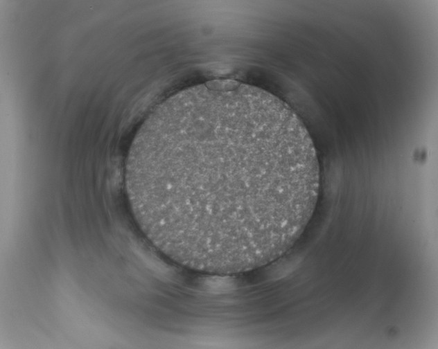 X0000111910085200908241037