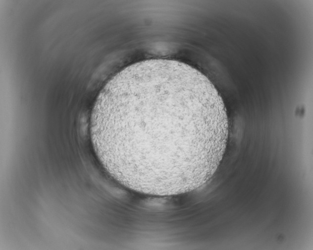 X0000111910086200908241037