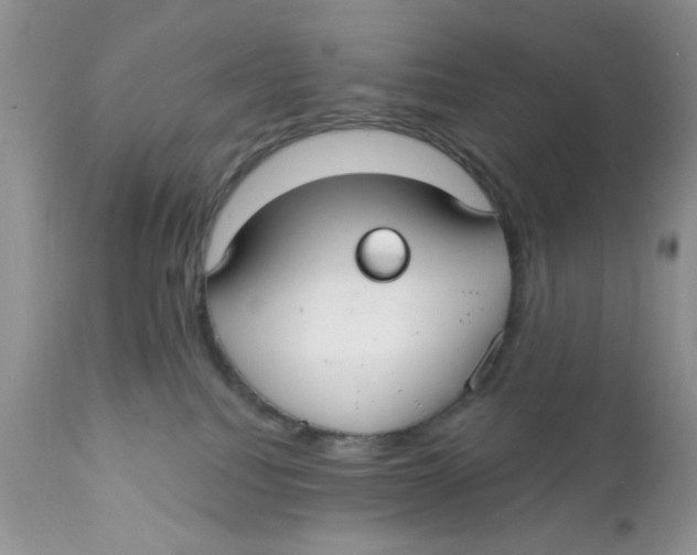 X0000111910088200908241037