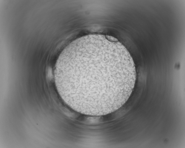 X0000111910089200908241037