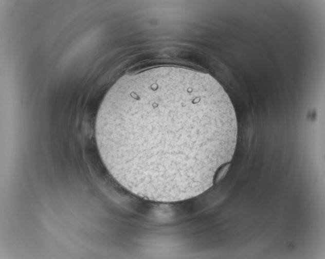 X0000111910091200908241037