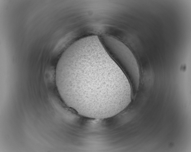 X0000111910092200908241037