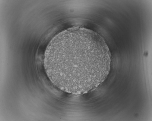X0000111910093200908241037