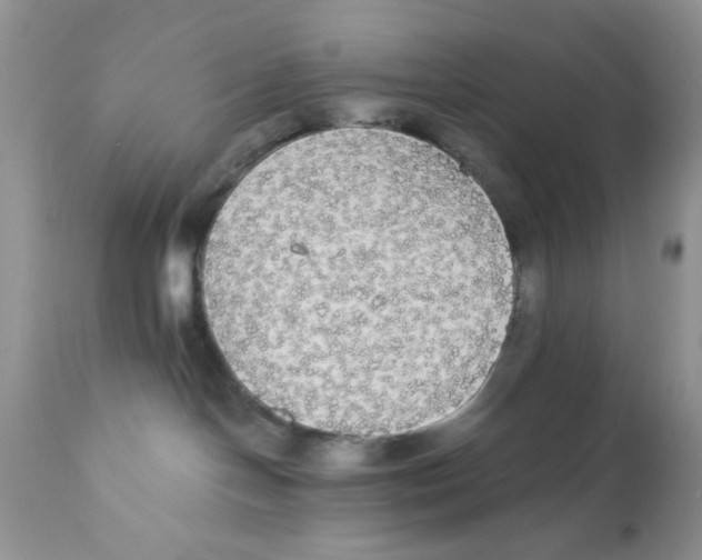 X0000111910094200908241037
