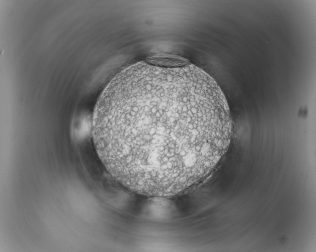 X0000111910095200908241037