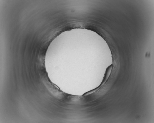 X0000111910096200908241037