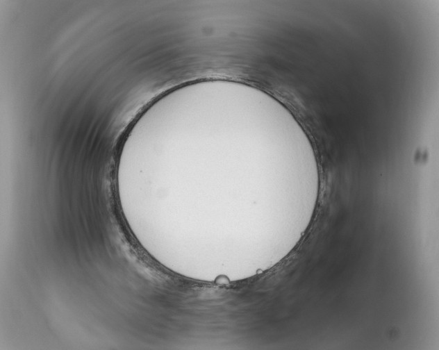 X0000111910098200908241036