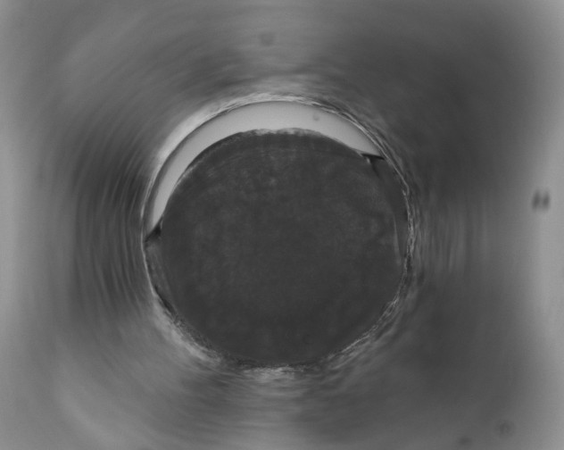 X0000111910100200908241036