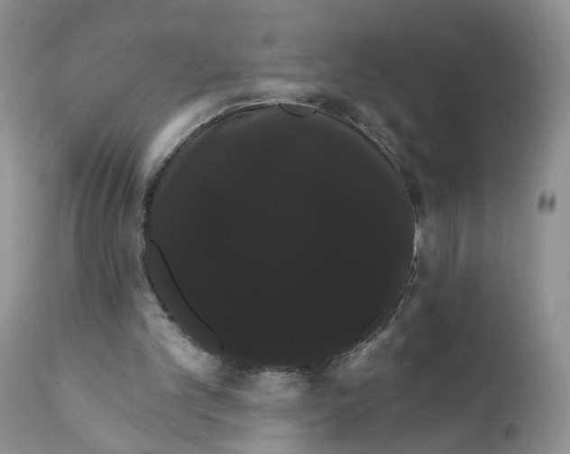 X0000111910101200908241036