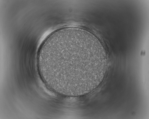 X0000111910102200908241036