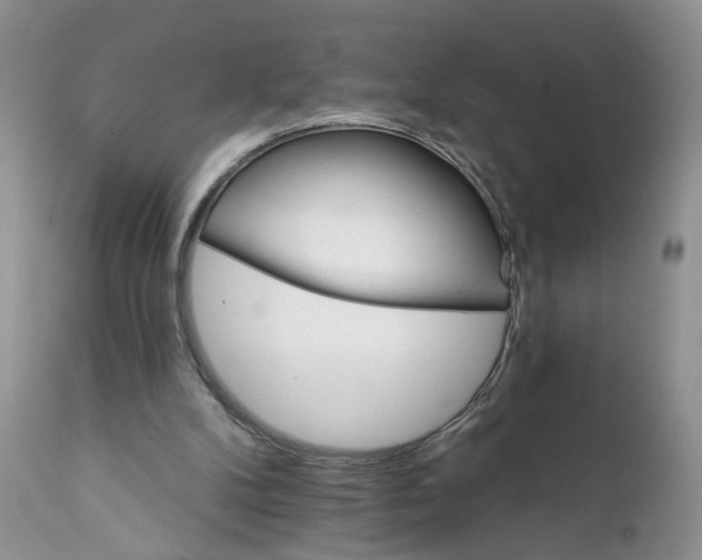X0000111910104200908241036
