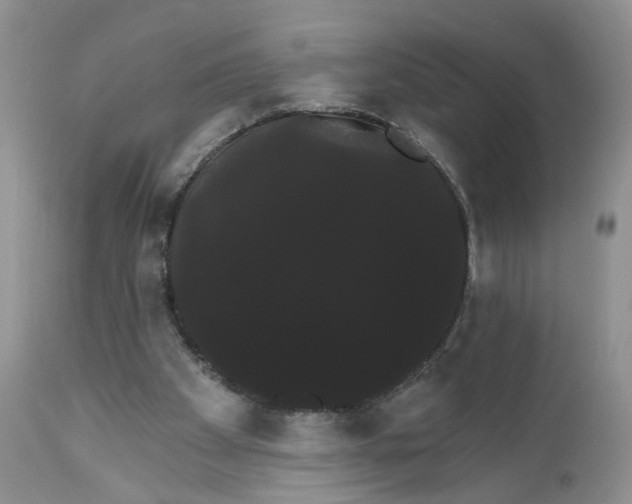X0000111910105200908241036