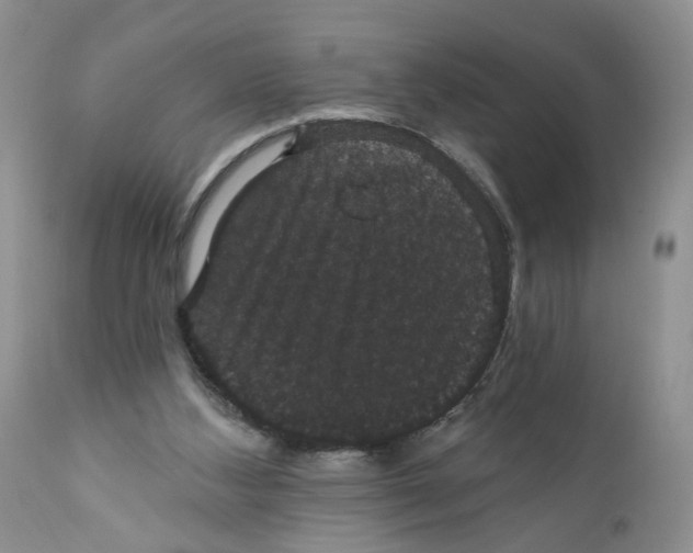 X0000111910108200908241036