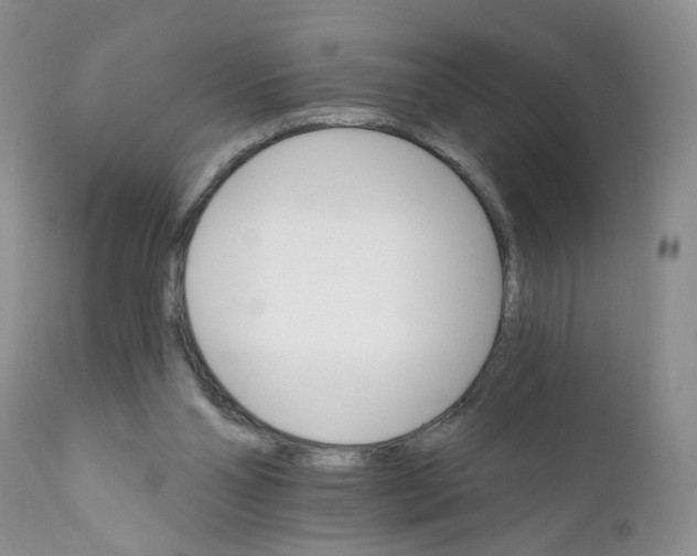 X0000111910110200908241036