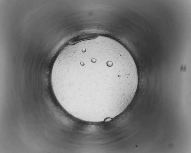 X0000111910111200908241036