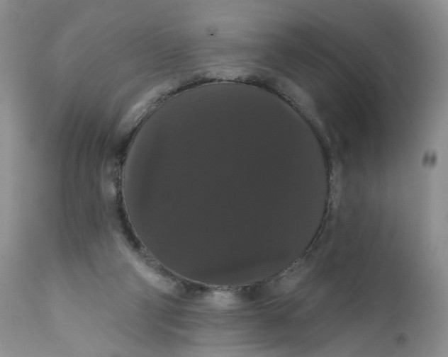 X0000111910114200908241036