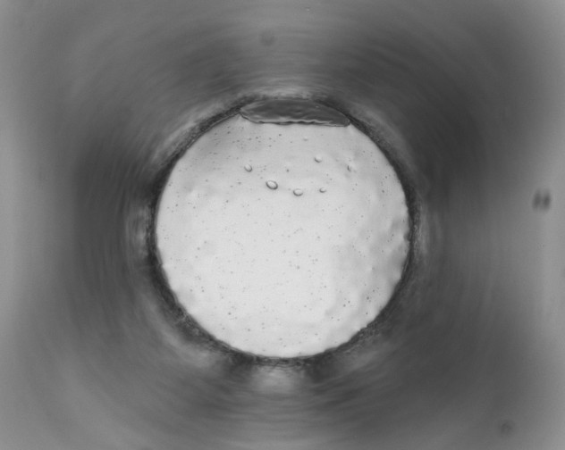 X0000111910115200908241036