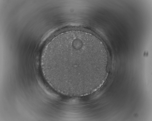 X0000111910116200908241036