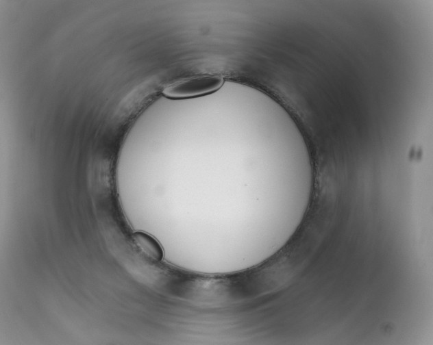 X0000111910117200908241036