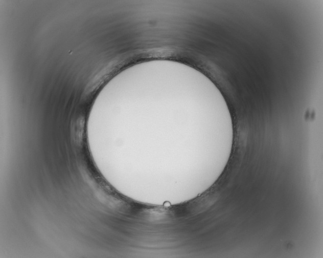 X0000111910118200908241036