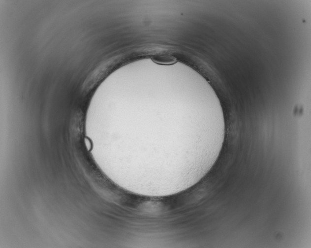 X0000111910119200908241036
