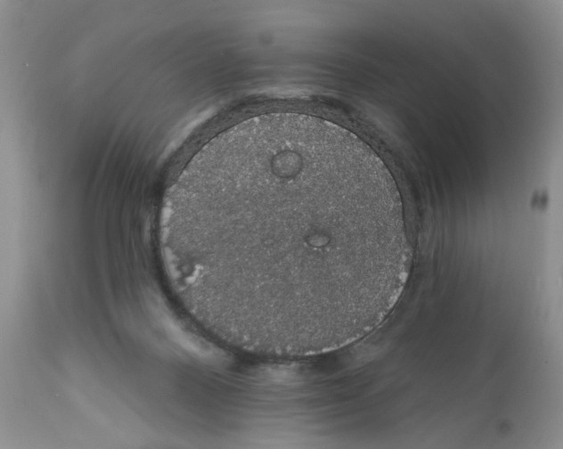 X0000111910120200908241036