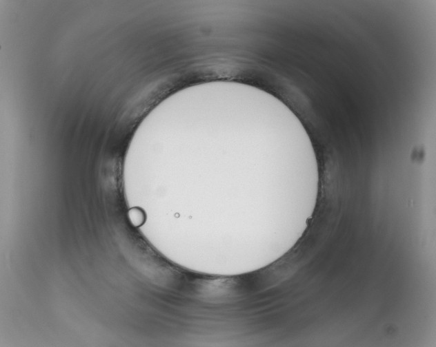 X0000111910122200908241036