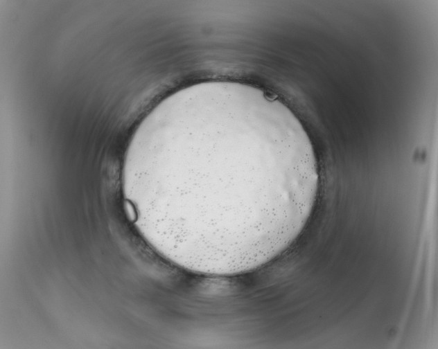 X0000111910123200908241036
