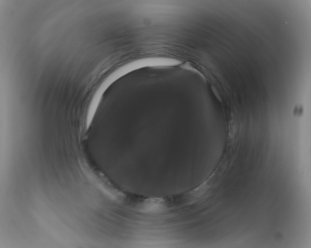 X0000111910124200908241036