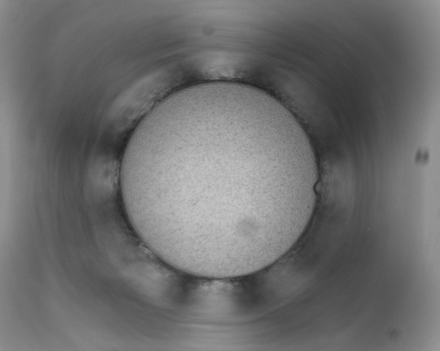 X0000111910125200908241036