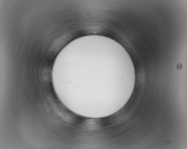 X0000111910126200908241036