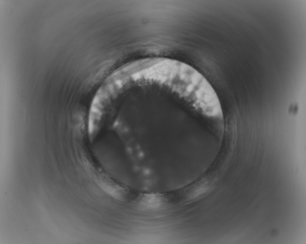 X0000111910127200908241036
