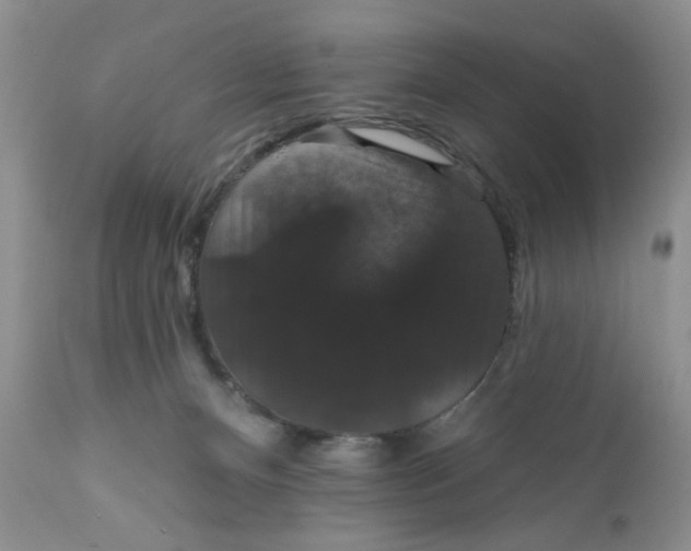 X0000111910128200908241036