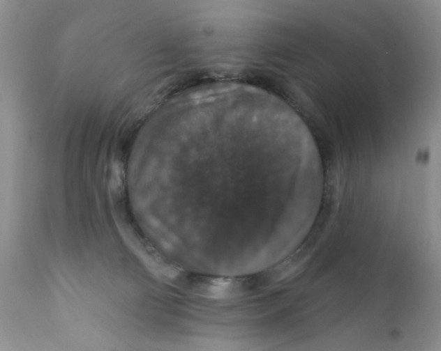 X0000111910130200908241036